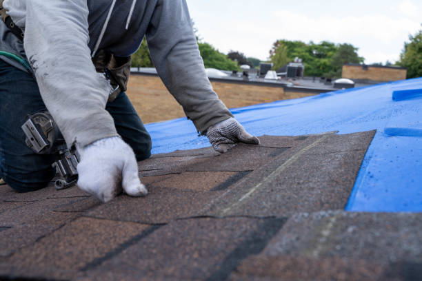 Best Roof Restoration Services  in Osburn, ID